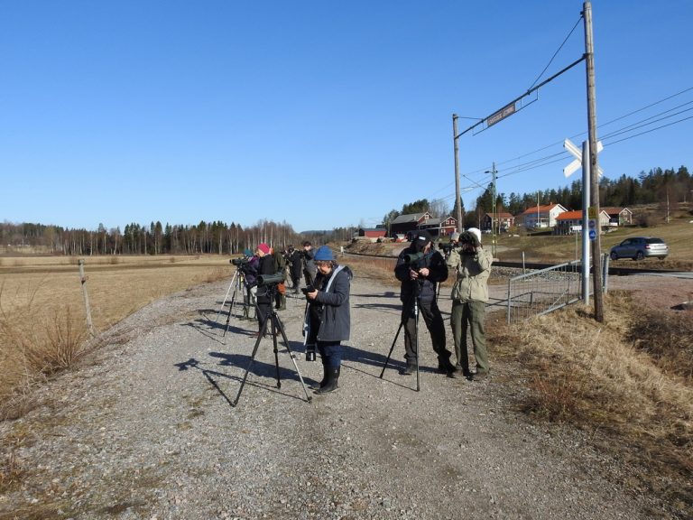 Skådarna vid järnvägsövergången, Skrängstasjön