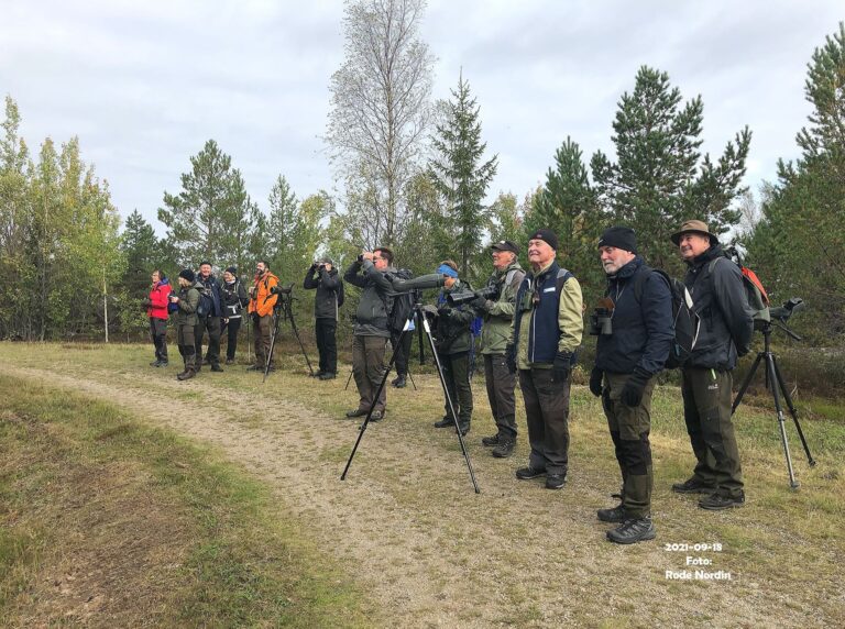 Fågelskådare med kikare