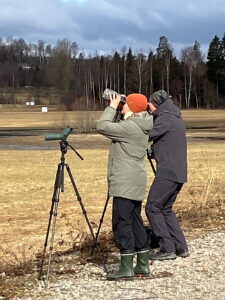 skådare kikar mot skyn