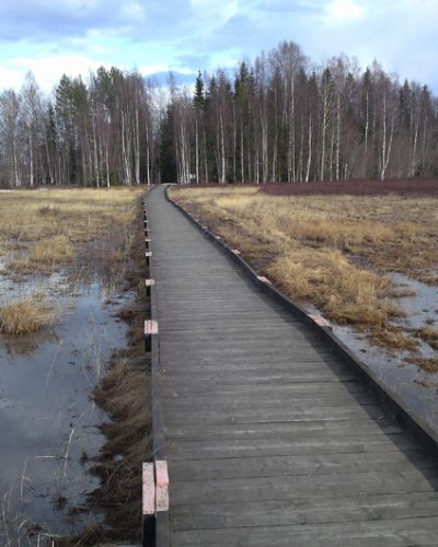Intåg till Stornäset