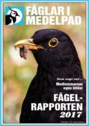 Fåglar-i-Medelpad